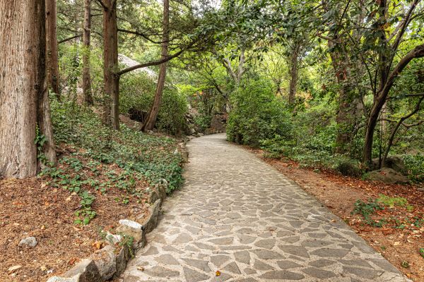 Stone Walkway Repair in Williamsburg