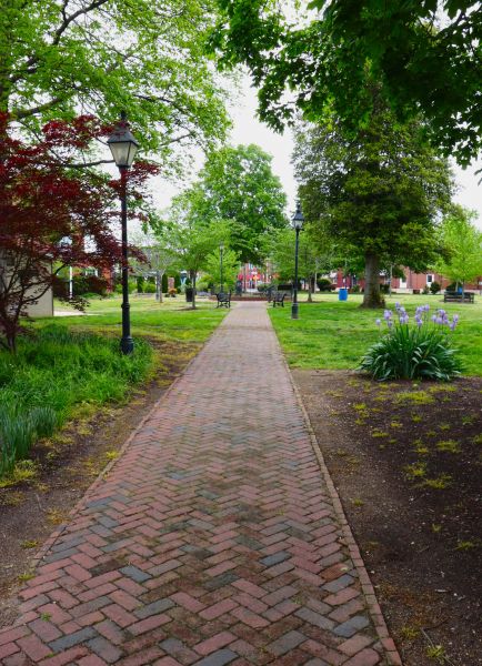 Brick Pathway Repair in Williamsburg