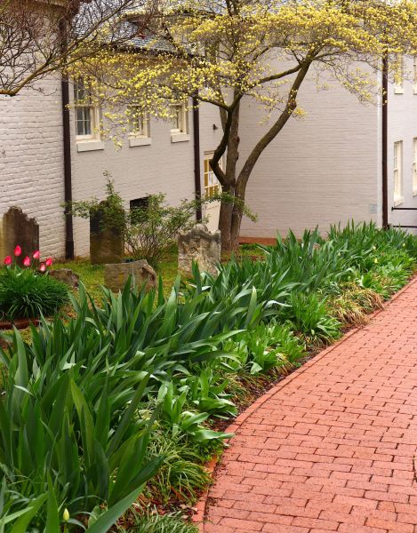 Brick Flatwork Repair in Williamsburg